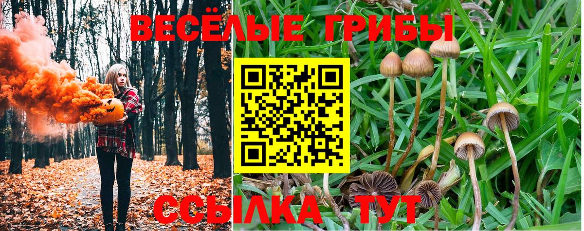 Галлюциногенные грибы прущие грибы  Вход с VPN  как найти   Долгопрудный 
